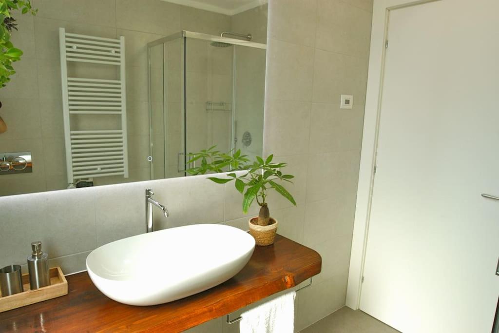 Green Eco-design,